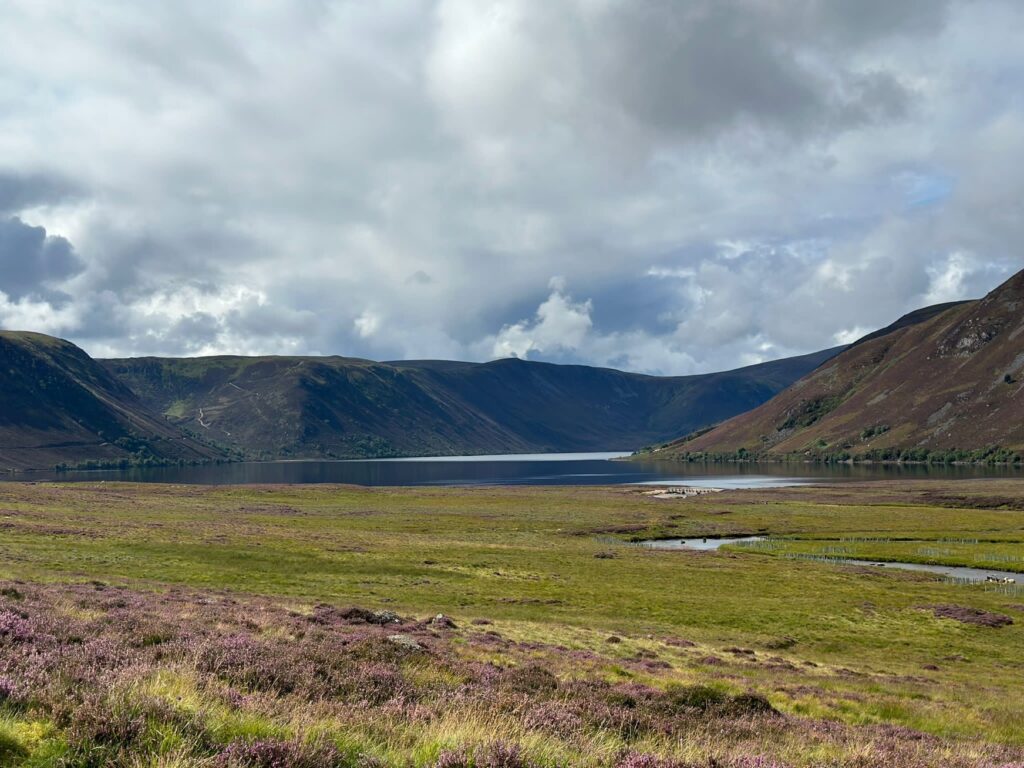 Beautiful nature view with a mountain and a lake.