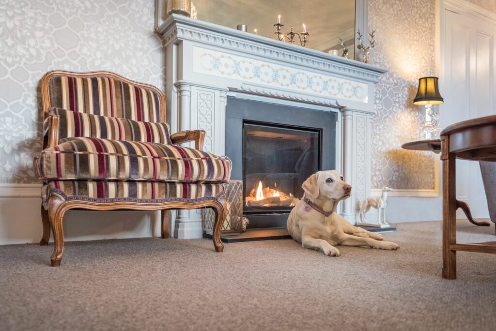 Dog lying in front of a fireplace.