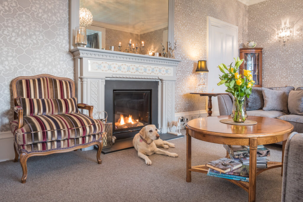 Cozy interior design of a living room with fireplace 