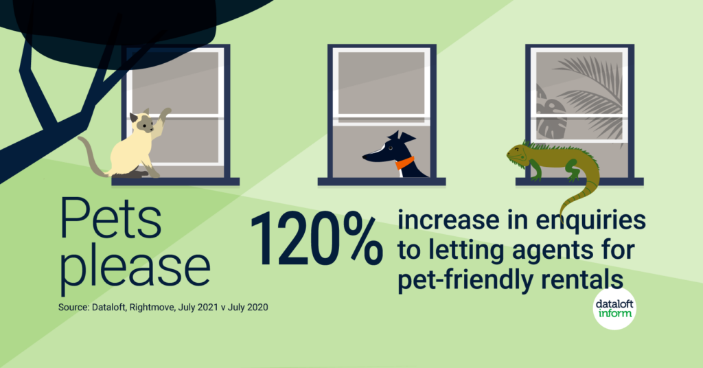 A statistic that shows an increase in enquiries to letting agents for pet-friendly rentals.
