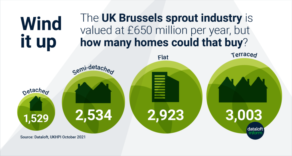 Graphic image with a sprout industry statistic compared to real estate industry. 