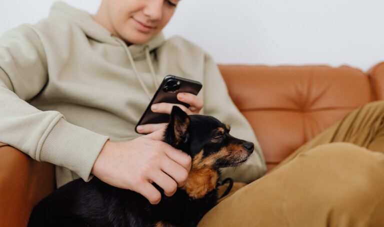 Tenant relaxing on a sofa, using a phone while stroking a small dog in a pet friendly rental home.