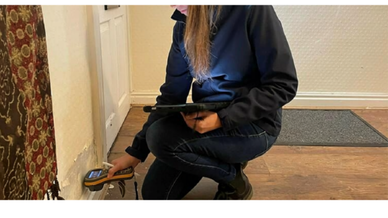 Damp and mould assessor inspecting a wall with a moisture meter