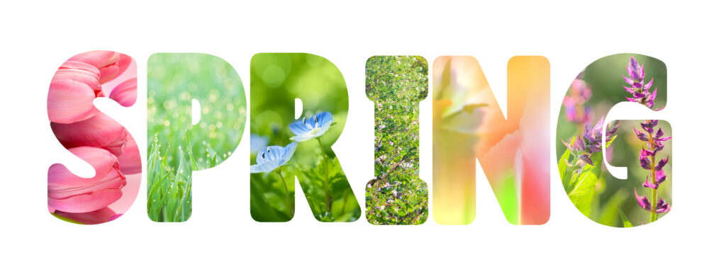 Word Spring with colorful nature images inside the letters, fresh grass and flowers photos, on white background, horizontal